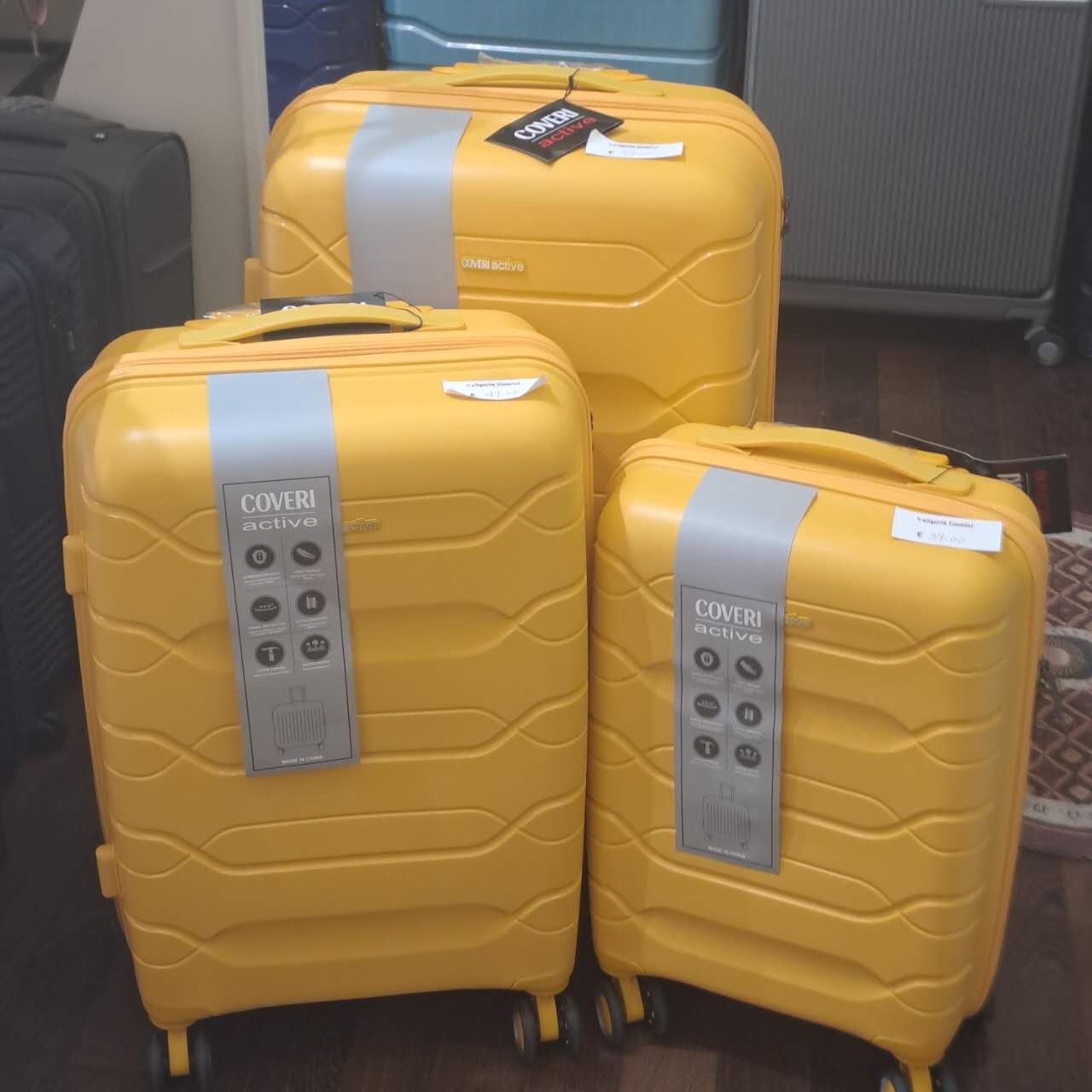 Valigia Trolly Coveri Active da 20'